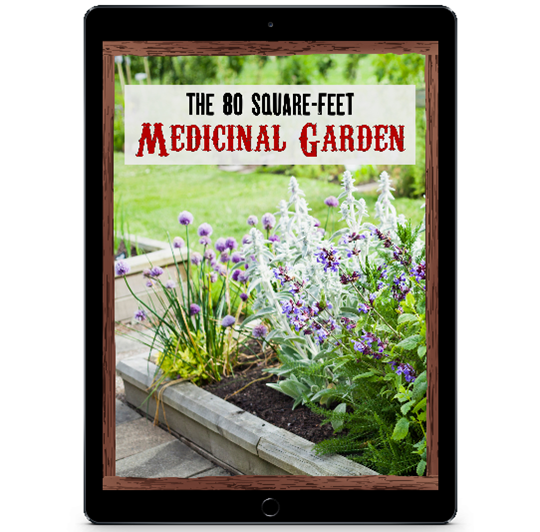 The 80 Square-Feet Medicinal Garden e-book