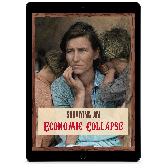 Surviving an Economic Collapse e-book